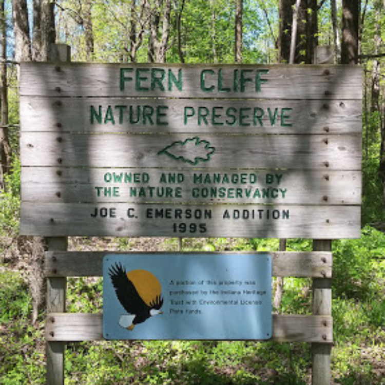 Fern Cliff Nature Preserve