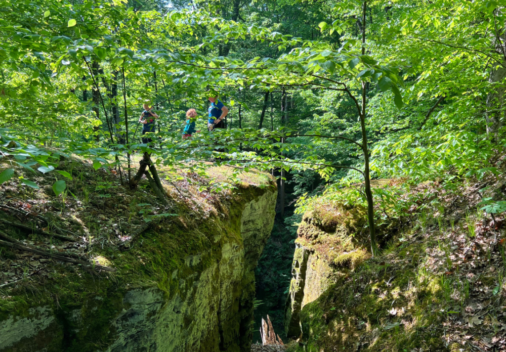 Fern Cliff Nature Preserve Putnam Parks & Pathways